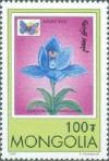 Colnect-1281-191-Adonis-Blue-Polyommatus-bellargus-Bamboo-Orchid-Dendrobi.jpg