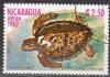 Colnect-870-392-Hawksbill-sea-turtle-Eretmochelys-imbricata.jpg