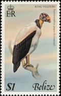 Colnect-1594-434-King-Vulture-Sarcorhamphus-papa.jpg