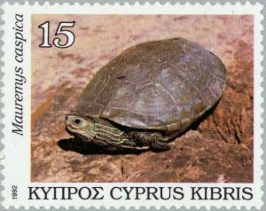 Colnect-178-330-Caspian-Turtle-Mauremys-caspica.jpg