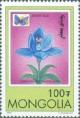 Colnect-1281-191-Adonis-Blue-Polyommatus-bellargus-Bamboo-Orchid-Dendrobi.jpg