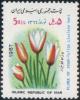 Colnect-1985-671-Tulipa-clusiana.jpg
