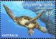 Colnect-2495-770-Hawksbill-Sea-Turtle-Eretmochelys-imbricata.jpg