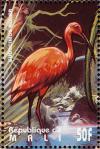 Colnect-2375-997-Scarlet-Ibis-Eudocimus-ruber.jpg