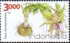 Colnect-2894-197-Arrowroot-Tacca-leontopetaloides.jpg