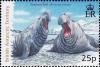 Colnect-4840-117-Elephant-Seal-Mirounga-leonina.jpg