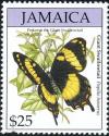 Colnect-5271-711-Jamaican-Giant-Swallowtail-Papilio-homerus.jpg