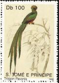 Colnect-2103-174-Pavonine-Quetzal-Pharomachrus-pavoninus.jpg
