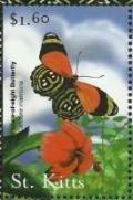 Colnect-3504-797-Figure-of-eight-butterfly-Callicore-maimuna.jpg