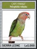Colnect-3565-906-Cape-Parrot%C2%A0-%C2%A0Poicephalus-robustus.jpg