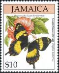 Colnect-5271-712-Jamaican-Giant-Swallowtail-Papilio-homerus.jpg