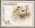 Colnect-723-153-Persian-Cat-Felis-silvestris-catus.jpg