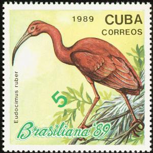 Colnect-1989-013-Scarlet-Ibis-Eudocimus-ruber.jpg