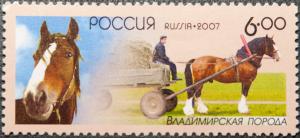 Colnect-2281-018-Vladimir-Draft-Horse-Equus-ferus-caballus.jpg