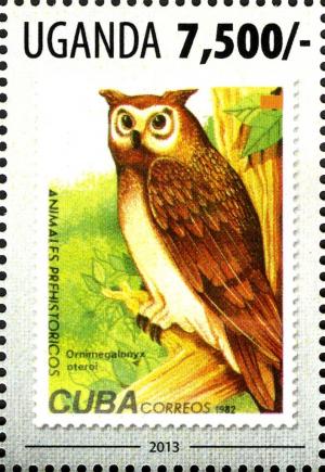 Colnect-3053-262-Cuban-Giant-Owl-Ornimegalonix-oteroi.jpg
