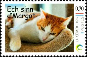 Colnect-3483-515-Cat--Margot--Felis-silvestris-catus.jpg