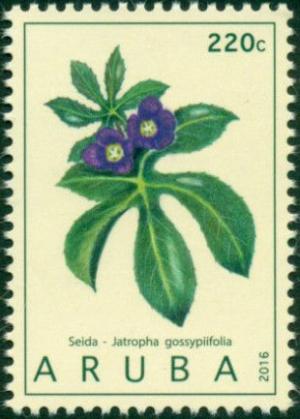 Colnect-3501-807-Physic-nut-Jathropa-gossypiifolia.jpg