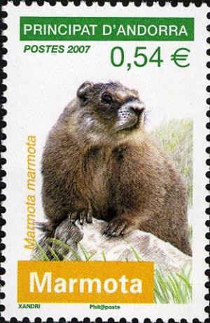Colnect-4163-891-Marmot-Marmotus-marmotus-.jpg