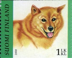 Colnect-591-443-Finnish-Spitz-Canis-lupus-familiaris.jpg