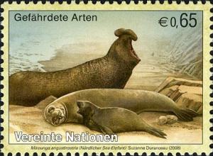 Colnect-611-537-Northern-Elephant-Seal-Mirounga-angustirostris.jpg