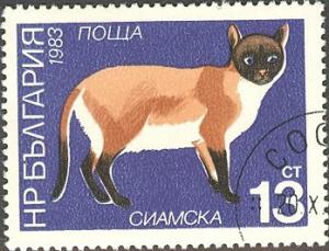Colnect-615-194-Siamese-Cat-Felis-silvestris-catus.jpg