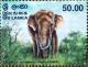 Colnect-1482-077-Ceylon-Elephant-Elephas-maximus-ceylonensis.jpg