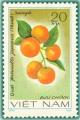 Colnect-1627-890-Kumquat-fortunella-Japonica.jpg