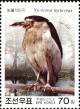 Colnect-2413-985-Black-crowned-Night-heron-nbsp-Nycticorax-nycticorax.jpg