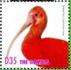Colnect-3525-462-Scarlet-Ibis-Eudocimus-ruber.jpg