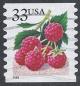 Colnect-3713-031-Fruit-BerriesRaspberries.jpg