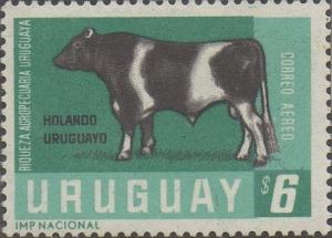 Colnect-1112-217-Holando-Uruguayo-Bos-primigenius-taurus.jpg