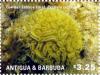 Colnect-3013-002-Common-Lettuce-Coral-Pectinia-lactuca.jpg
