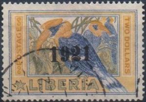 Colnect-1670-292-Great-Hornbill-Buceros-bicornis---Overprint-1921.jpg