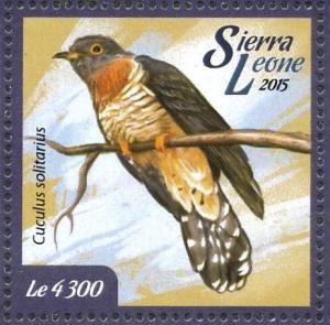 Colnect-3565-922-Red-chested-Cuckoo%C2%A0-%C2%A0Cuculus-solitarius.jpg