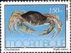 Colnect-1116-893-Giant-Mud-Crab-Scylla-serrata.jpg
