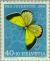Colnect-139-939-Moorland-Clouded-Yellow-Colias-palaeno.jpg
