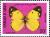 Colnect-2801-488-Pale-Clouded-Yellow-Colias-erate.jpg