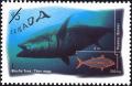 Colnect-588-604-Atlantic-Bluefin-Tuna-Thunnus-thynnus.jpg