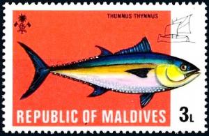 Colnect-4129-449-Atlantic-Bluefin-Tuna-Thunnus-thynnus.jpg