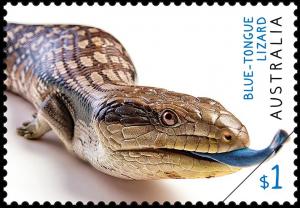 Colnect-5639-758-Blue-Tongued-Lizard.jpg
