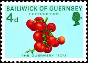 Colnect-5765-257-Guernsey-Tomatoes.jpg