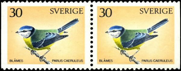 Colnect-4279-113-Eurasian-Blue-Tit-Cyanistes-caeruleus.jpg