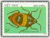 Colnect-1631-630-Brown-Bug-Chrysocoris-sellatus.jpg
