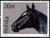 Colnect-1988-449-English-Thoroughbred-Equus-ferus-caballus.jpg