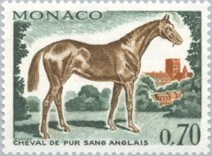 Colnect-148-199-English-Thoroughbred-Equus-ferus-caballus.jpg