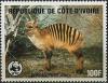 Colnect-1738-693-Zebra-Duiker-Cephalophus-zebra.jpg