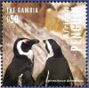 Colnect-3525-470-African-Penguin-nbsp-Spheniscus-demersus.jpg
