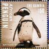 Colnect-3525-471-African-Penguin-nbsp-Spheniscus-demersus.jpg