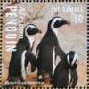 Colnect-3526-274-African-Penguin-nbsp-Spheniscus-demersus.jpg