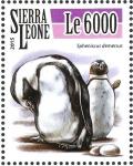 Colnect-3566-024-African-Penguin%C2%A0-%C2%A0Spheniscus-demersus.jpg